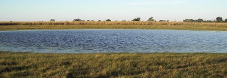 medioambiente, integraci�n, cambio clim�tico, kioto, co2