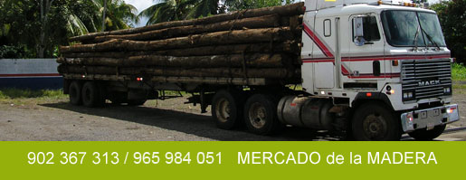 madera de calidad de teca
