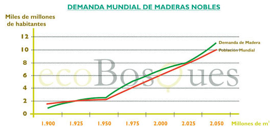 Situacion mercado forestal