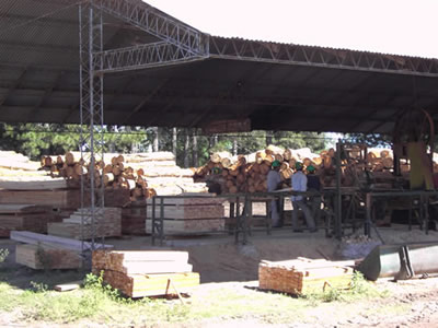 Aserradero de maderas de ecoBosques Aserradero de maderas